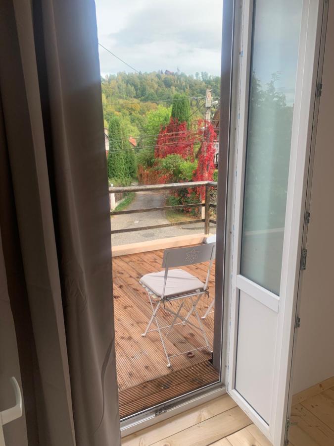 Vila Codreanu Bran  Exteriör bild