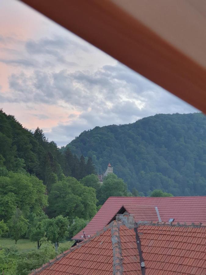 Vila Codreanu Bran  Exteriör bild