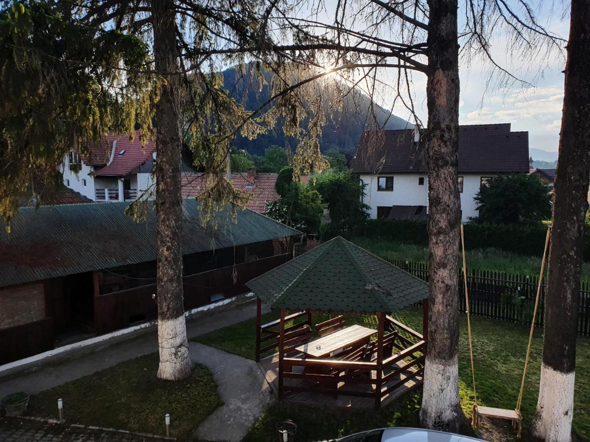 Vila Codreanu Bran  Exteriör bild