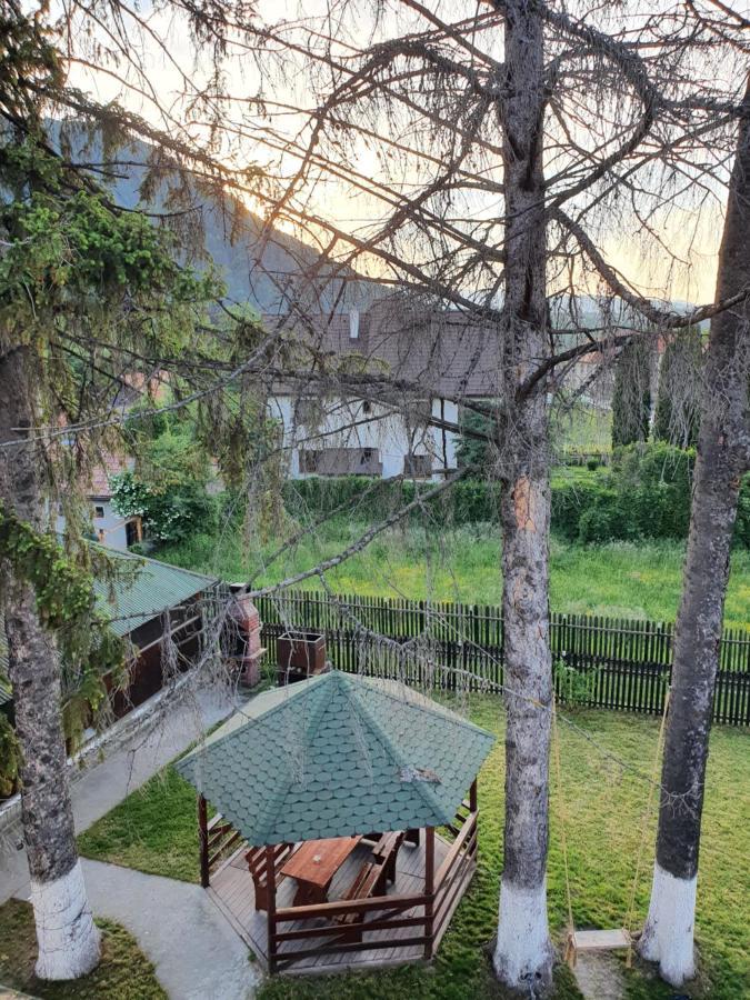 Vila Codreanu Bran  Exteriör bild